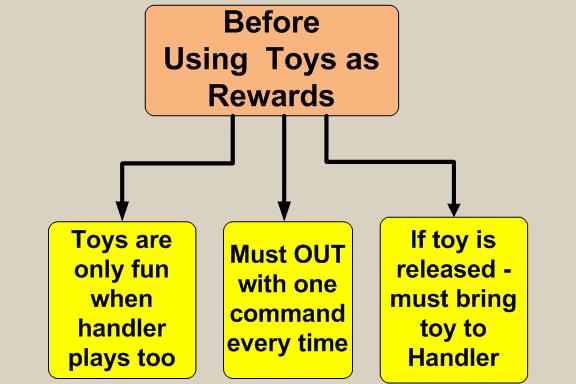 Using toys as rewards in dog training